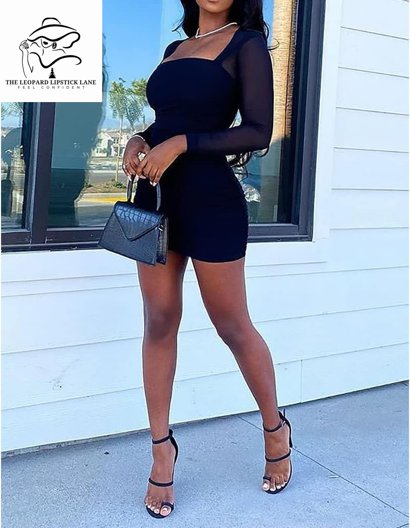 Sheer Mesh Long Sleeve Dress